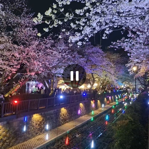 피드 이미지
