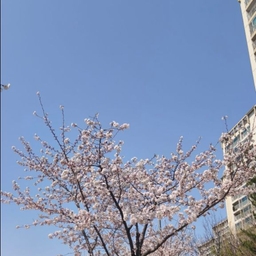 피드에 업로드 된 이미지