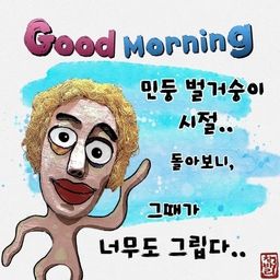 피드에 업로드 된 이미지