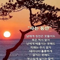 피드에 업로드 된 이미지