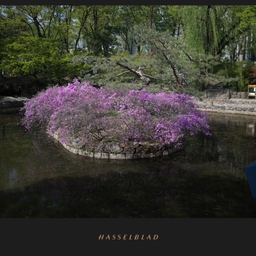 피드에 업로드 된 이미지