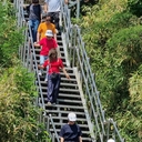 피드 작성자 프로필