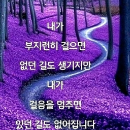 피드에 업로드 된 이미지