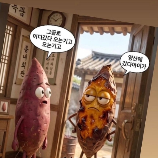 피드 이미지