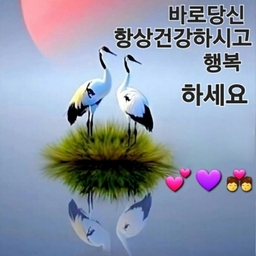 공지사항에 업로드 된 이미지