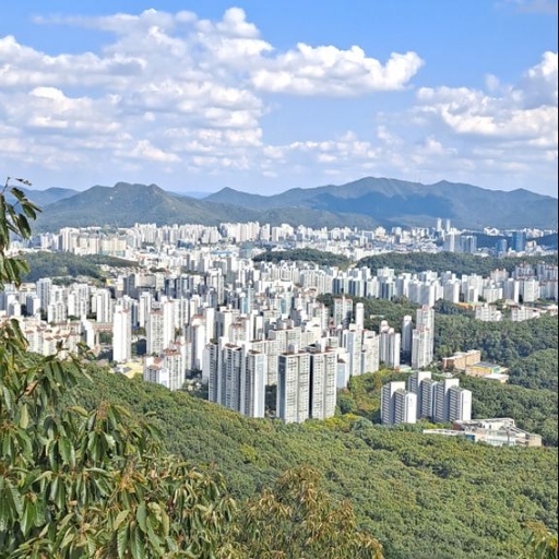 피드 이미지