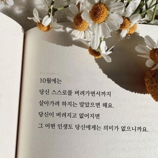 피드 이미지