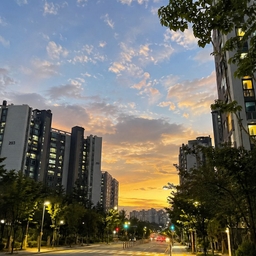 피드에 업로드 된 이미지