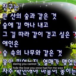 피드에 업로드 된 이미지