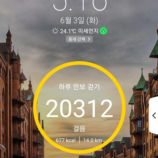 피드 이미지