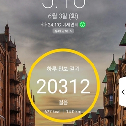 피드에 업로드 된 이미지