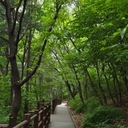 모임 이미지