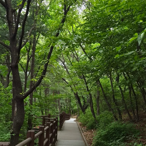 모임 대표 이미지