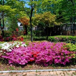 피드에 업로드 된 이미지