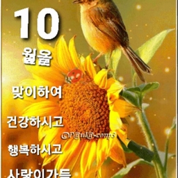 피드에 업로드 된 이미지