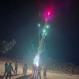 피드에 업로드 된 이미지