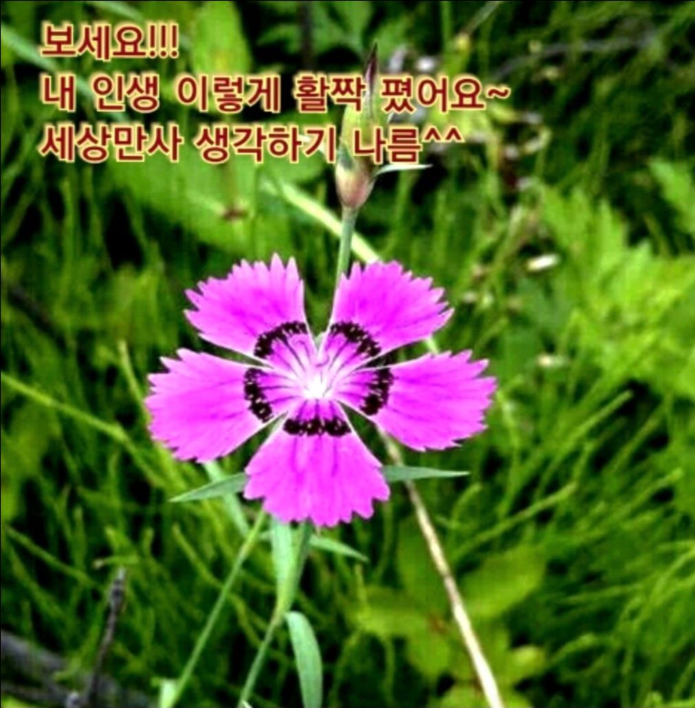 피드에 업로드 된 이미지
