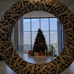 피드에 업로드 된 이미지