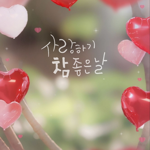 피드 이미지