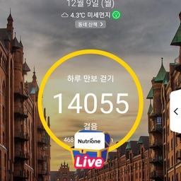 피드에 업로드 된 이미지