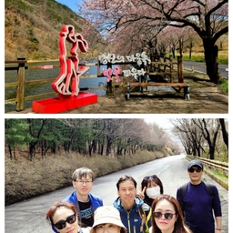 피드에 업로드 된 이미지