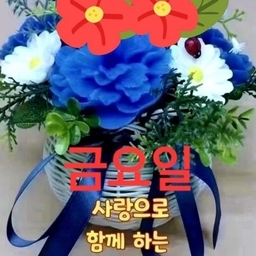 피드에 업로드 된 이미지