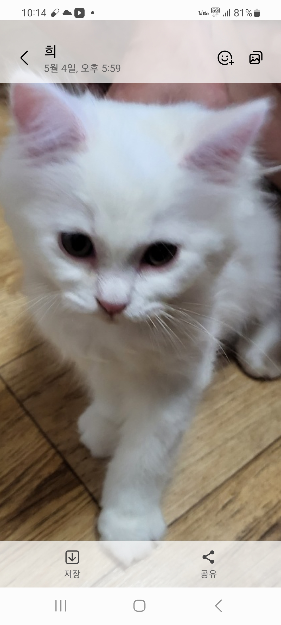 참가 유저 프로필