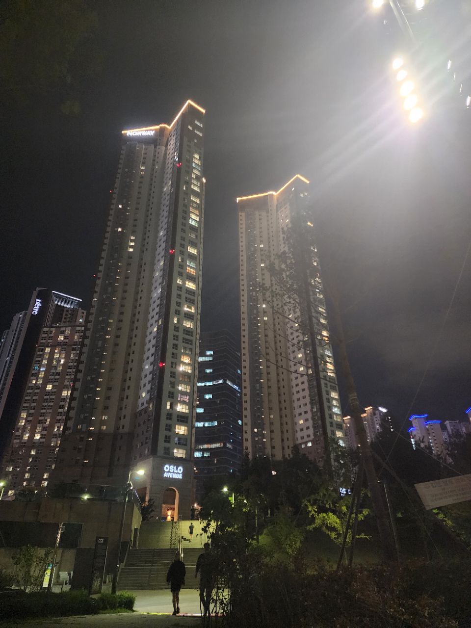 피드 이미지