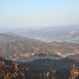 피드에 업로드 된 이미지