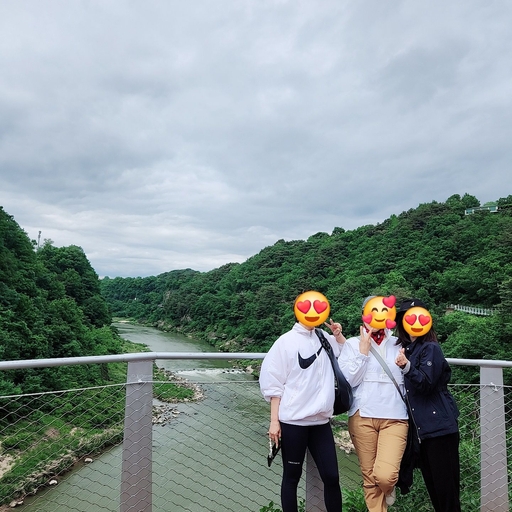 피드 이미지