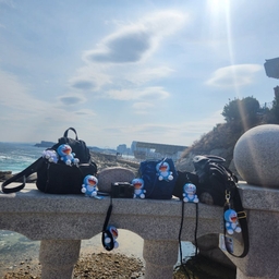 피드에 업로드 된 이미지