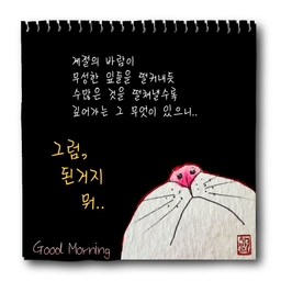 피드에 업로드 된 이미지