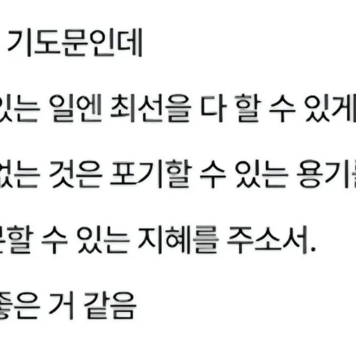 피드 이미지