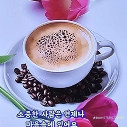 피드에 업로드 된 이미지
