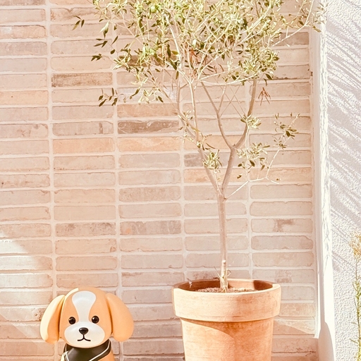 피드 이미지