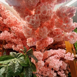 피드에 업로드 된 이미지