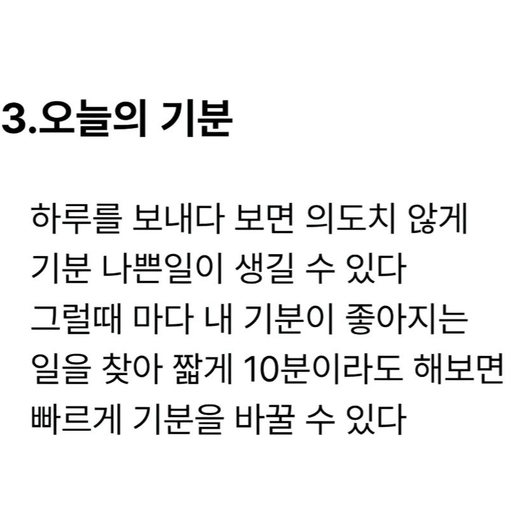 피드 이미지