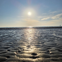 ํผ๋์ ์
๋ก๋ ๋ ์ด๋ฏธ์ง