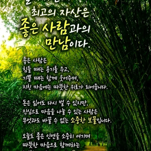 피드 이미지