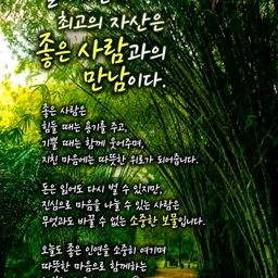 피드에 업로드 된 이미지