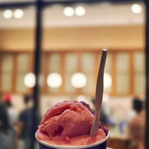 피드 이미지