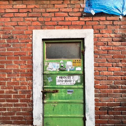 피드 이미지