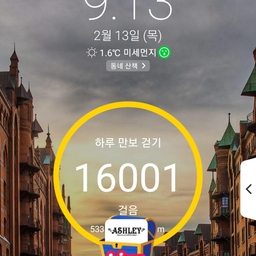 피드에 업로드 된 이미지