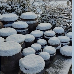 피드에 업로드 된 이미지