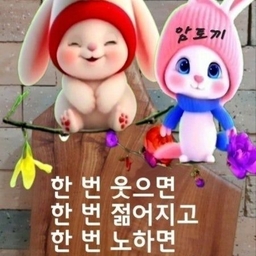 피드에 업로드 된 이미지