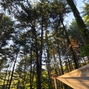 참가 유저 프로필