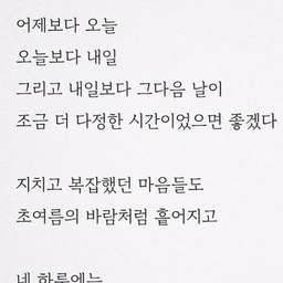 피드에 업로드 된 이미지