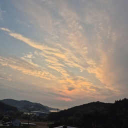피드에 업로드 된 이미지