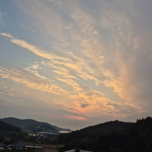 피드 이미지