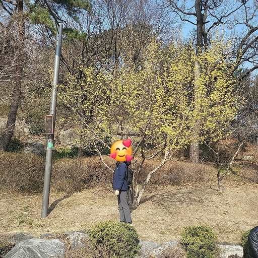 피드 이미지